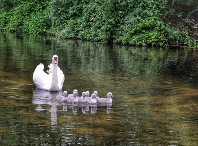 Sale Water Park